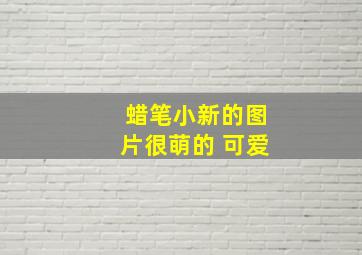 蜡笔小新的图片很萌的 可爱